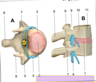 Figure intervertebral disc