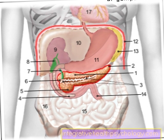 Figure pancreas