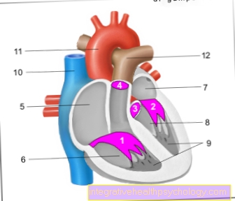 Figure heart valves