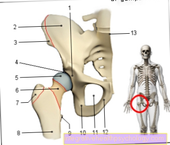 Figure hip joint