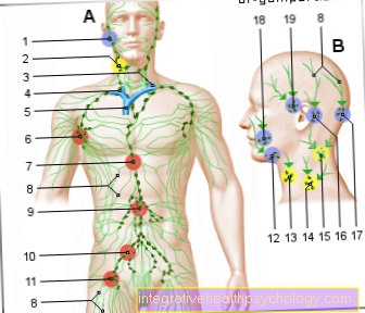 Figure lymphatic system