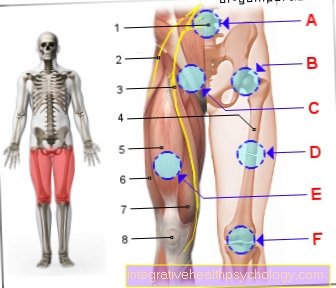 Figure anterior thigh pain