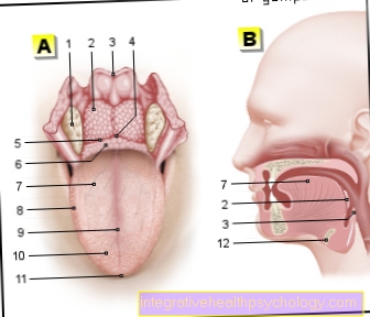 Figure tongue
