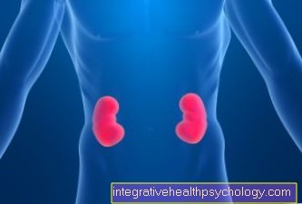 Kidney malformations