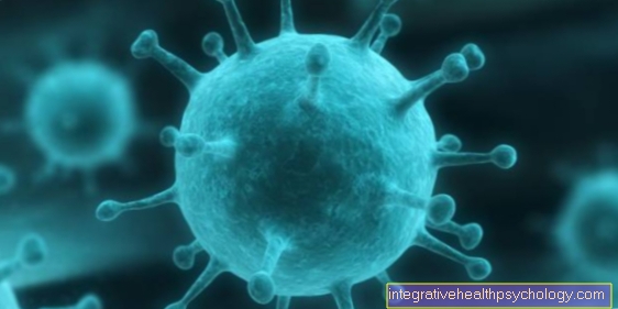 Norovirus - How Dangerous Is It?