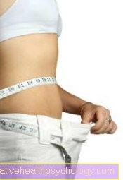 Determination of body fat