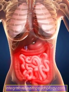Diet for diseases of the small intestine