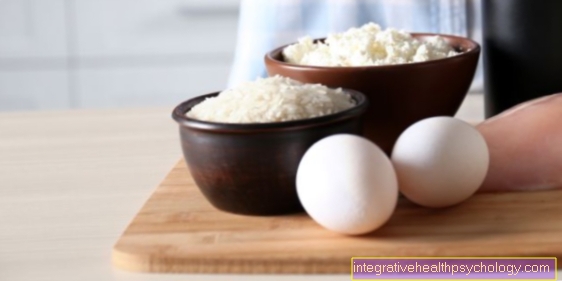 How high is the protein content in the egg?
