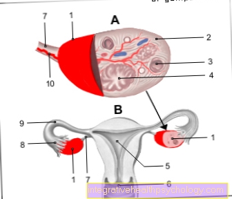 Gynecology And Obstetrics-