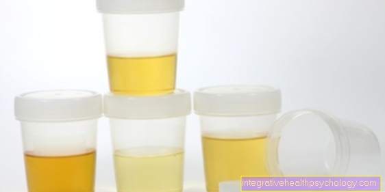 Protein in the urine during pregnancy