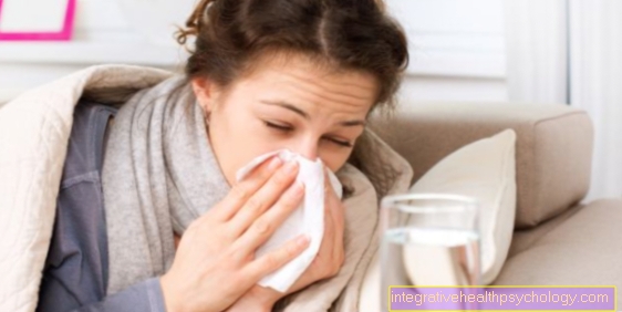 Antibiotic therapy for a sinus infection