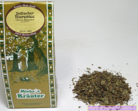 Indian kidney and bladder tea