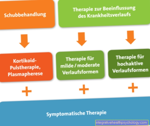 Therapy of multiple sclerosis