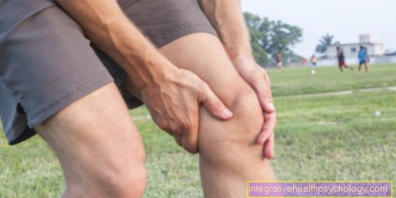 Healing of an inner ligament tear in the knee