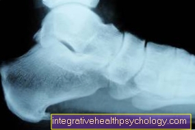 Orthopedics-Online