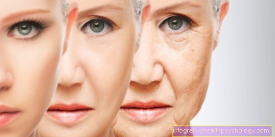 How can you stop the aging process?