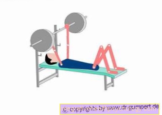 Bench press with dumbbells
