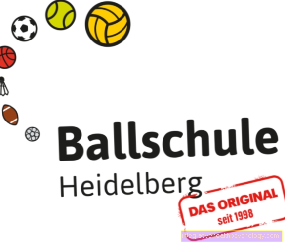Heidelberg Ball School