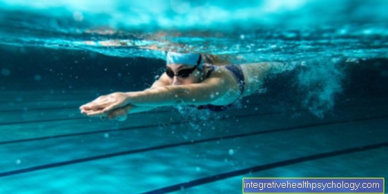 Physical laws in swimming