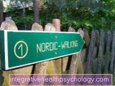 Walking / Nordic Walking