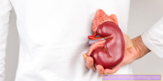 Kidney pain after a bladder infection